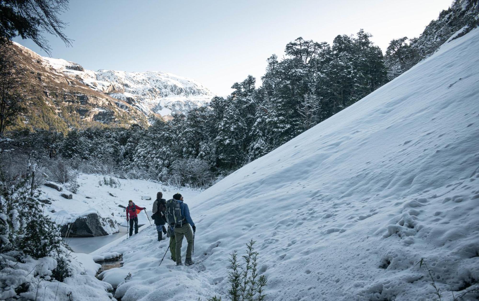 Indomito Hostel San Carlos de Bariloche Eksteriør bilde